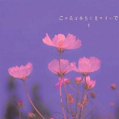 铁甲突击队官方版